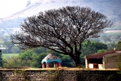 IIP Online Student Photography